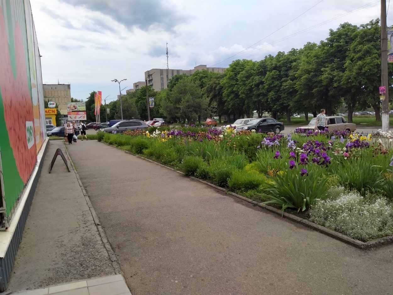 Жовті Води
